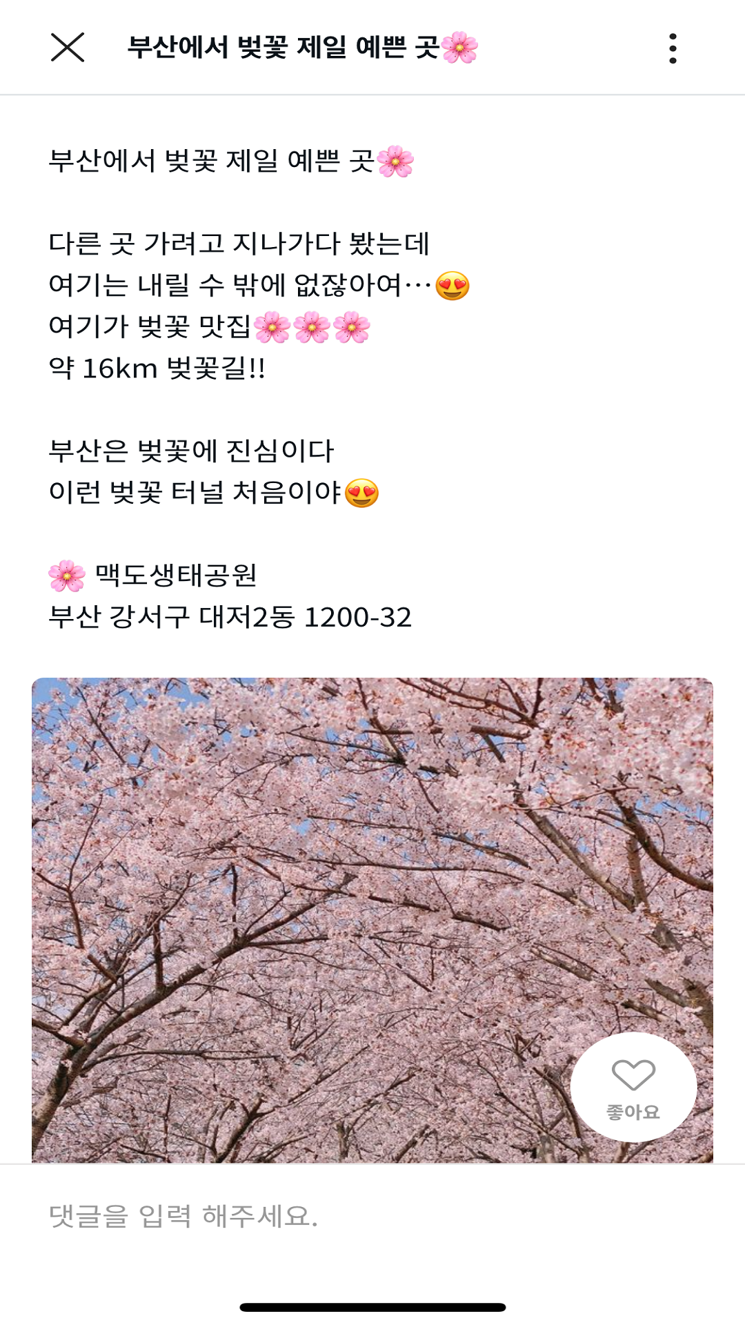 트립코디 앱 리뉴얼 App